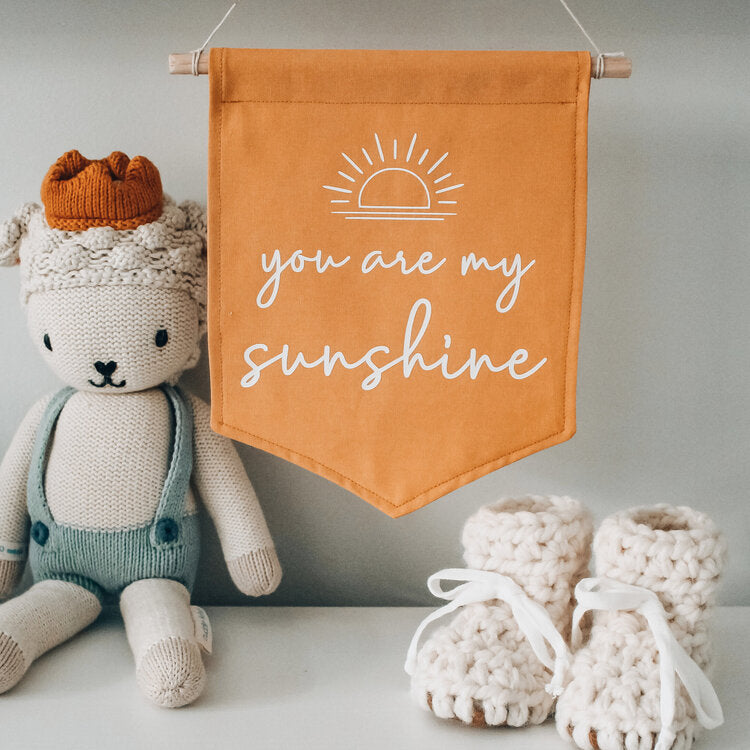 You are my sunshine flag